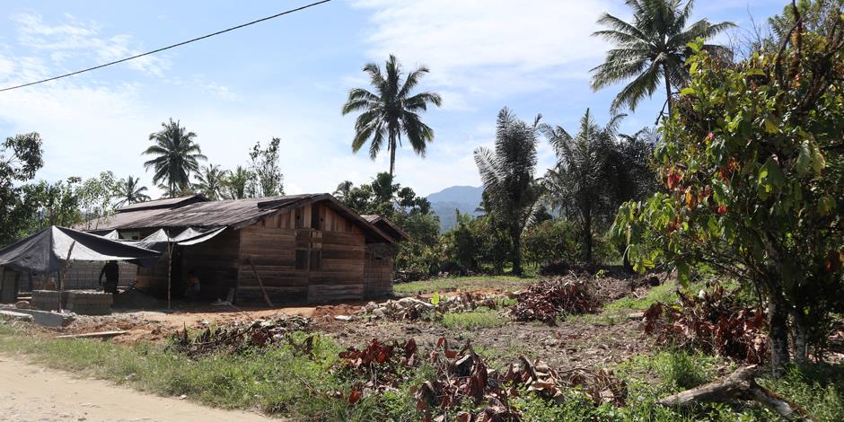 Provinsen centrala Sulawesi i Indonesien. Bilden är tagen i byn som utsattes för ett liknande dåd i november förra året. 