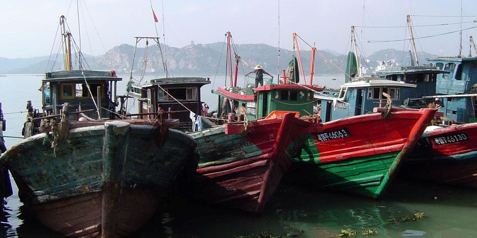 Fiskebåtar i en av Kinas kuststäder (båtarna på bilden har ingen koppling till texten).