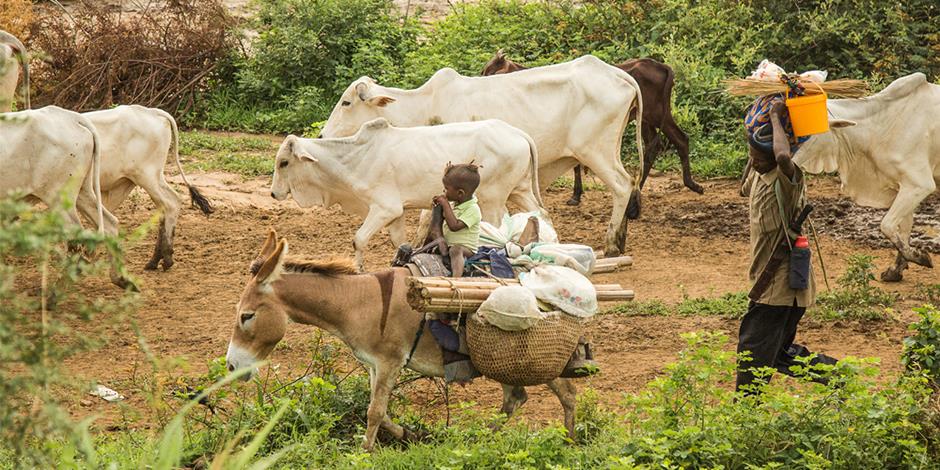 Fulani-herdar i centrala Nigeria. Personerna på bilden har ingen koppling till artikeln.