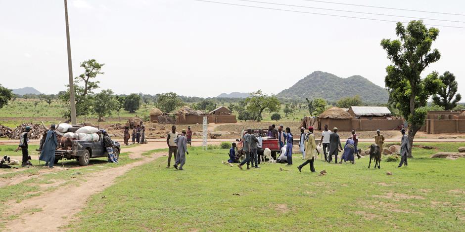 En grupp fulaniherdar med boskap i nordöstra Nigeria.